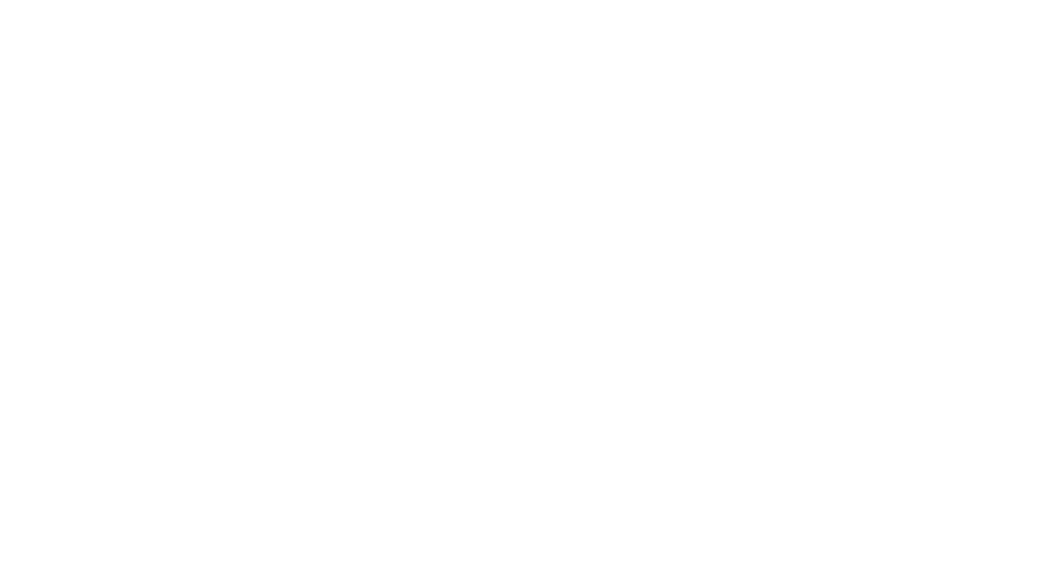 BVMS | Real Security