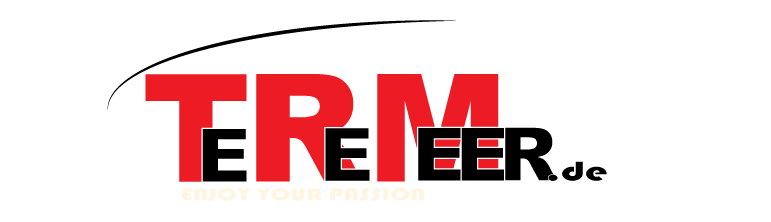 Teremeer Logo | Real Security
