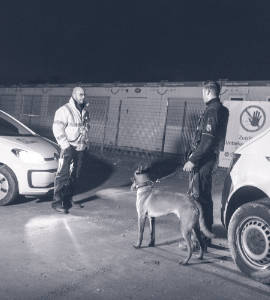 Hundeführer & Diensthunde | Real Security